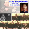 Research Yang Zhenming (Yang Shouchung)